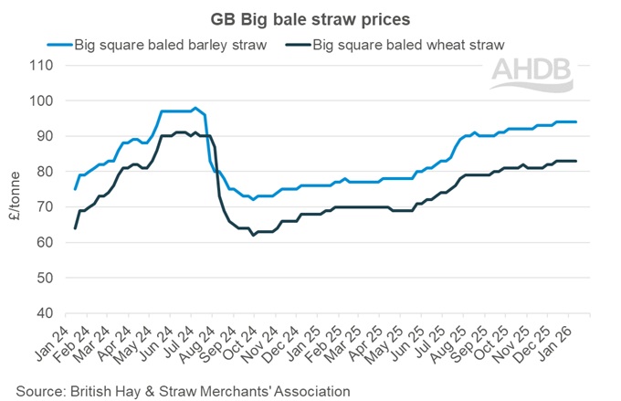 Graph showing GB big bale straw weekly prices 11 January 2026.
